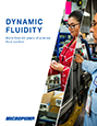 Dynamic Fluidity